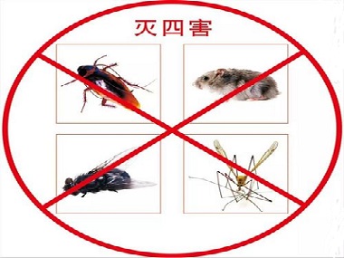 佛山除四害消杀提醒您没有看到害虫也要定期检查预防害虫